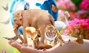 Biodiversity, humanity, life, support, UN, Secretary-General, Antonio Guterres, legal, talk, action, Biological, climate, lakes, deserts, forests,