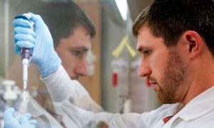 Cancer, Treatment, Patients, Vaccines, Scientists, Researchers, Medicine, New York, Houston, MD Anderson Cancer Center, Hepatitis B, Skin Cancer, Lung Cancer