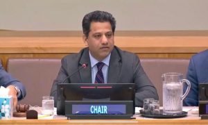 Pakistan, cooperation, crisis, global, ambassador, envoy, United Nations, UN, food, finance, climate change, developing, trade, education, health, science, technology