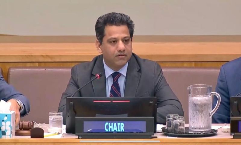 Pakistan, cooperation, crisis, global, ambassador, envoy, United Nations, UN, food, finance, climate change, developing, trade, education, health, science, technology