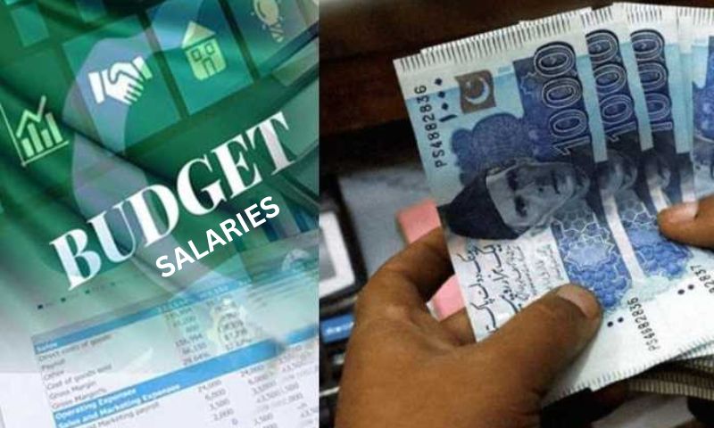 Punjab, Government, Employees, Salaries, Budget, Chief Minister, health, budget, billion, rupees, finance