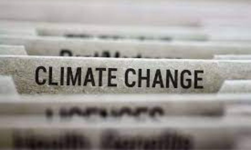 WB, Urges, Using, Wasted, Subsidies, Fight, Climate, Change