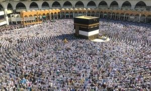 PAC, Takes, Notice, Problems, Faced, Pilgrims, During, Hajj, Saudi, government.