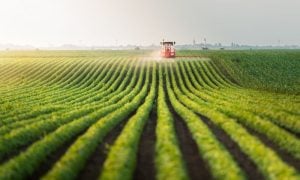 Agriculture, Training, Aid, Workshop, Field, Agricultural, Pakistan