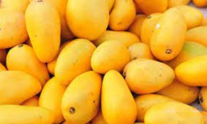 Mangoes