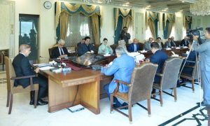 National Economic Council, NEC, Economic, Government, Budget, Projects, Prime Minister, Shehbaz Sharif, Chief Minister