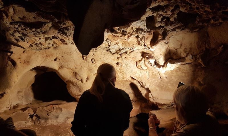 Neanderthal