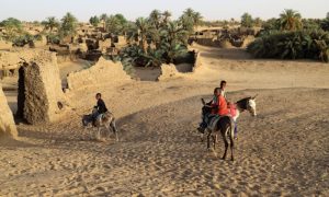 Nigerien Sahara