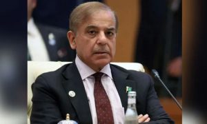 Pakistan, Prime Minister, Shehbaz Sharif, economic, challenges, problems, government, Pakistan, IMF, International Monetary Fund, Lahore, information, budget, Finance Minister, Ishaq Dar, agriculture, information technology, sectors