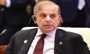 PM, Shehbaz Sharif, Pakistan, Turkiye, Turkish, Prime Minister, Recep Tayyip Erdogan, Relations, Trade, Investment, Cooperation, Dollars, Solar Energy, Hydropower, Technical, Financial, Kashmir, United Nations, PTI