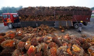Palm Oil, Imports, Low, India