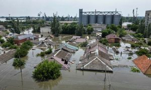 Ukrainians, Homelessness, Disease, Crest, Destroyed, Dam, Forces, Survivors, Water, Agriculture, Troops, Progress, Country, Bank, Towns, Chief, Zone, Level, Agency