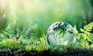 World Environment Day, Plastic, Pollution, Paris, Agreement, Government, Businesses, Climate Change, Sherry Rehman, United Nations, Gas, Pakistan