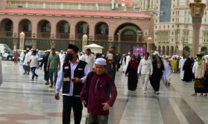 Hajj, Saudi Arabia, Pilgrims, Kingdom of Saudi Arabia, Kingdom, Health, Passports, Religious, Muslims, Arafah,