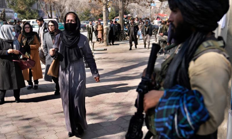 Taliban, Aid, Workers, Female, Orders, Kandahar, Spin Boldak, Pakistan, Governor, Spokesperson, Ministry, United Nations, Afghanistan, Staff, Work