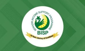 United Nations, delegation, BISP, important, role, Benazir Income Support Programme, million, families, support