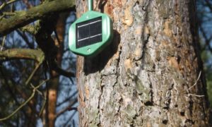 Electronic, Noses, Forest, Fires, Germany