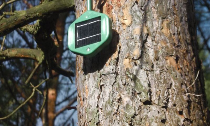 Electronic, Noses, Forest, Fires, Germany