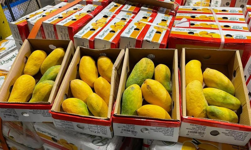US, Pakistani Mangoes, WASHINGTON, Washington, Islamabad, Afghanistan, 