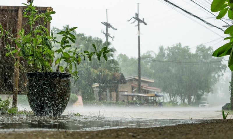 Monsoon, Pakistan, Receive, Rains, Islamabad, Rawalpindi, Attock, Chakwal, Jhelum, Mandi Bahauddin, Sialkot, Narowal, Lahore, Gujranwala, Gujrat