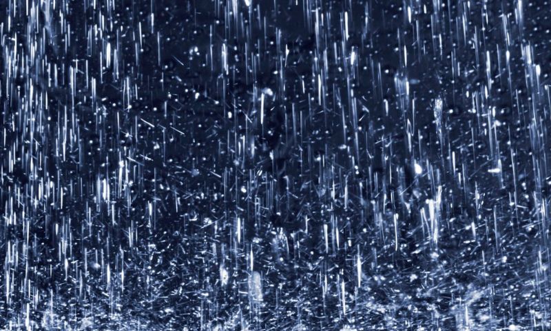 Rains