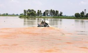Sutlej, Inundates, Expected, Reach, High, Flood