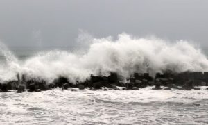 Typhoon