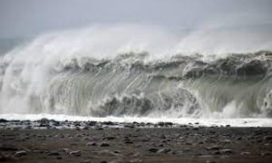 Typhoon