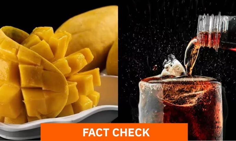 Mangoes, Soft Drinks, Nutritionists, Aga Khan University Hospital, Karachi, Scientific
