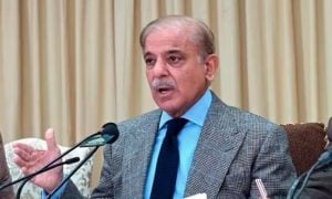 Islamabad, GCC, Prime Minister, Shehbaz Sharif, Arab News, Saudi Arabia, UAE, Qatar, CPEC