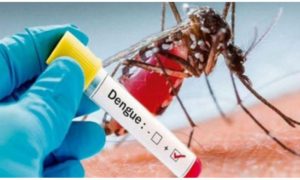 Dengue, cases, Act