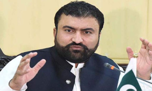 Caretaker Govt to Ensure Facilities for ECP to hold fair elections Interior Minister 1