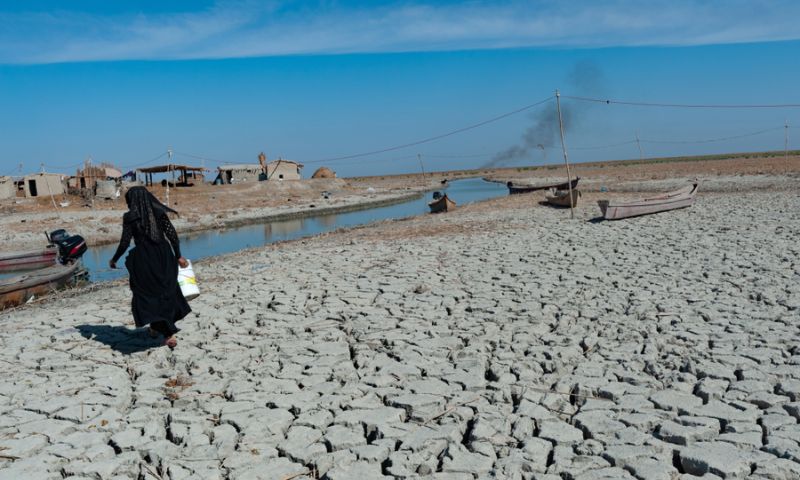 Climate