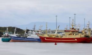 Fish, Ireland, Species, Migration, Sea, Temperature, Soar