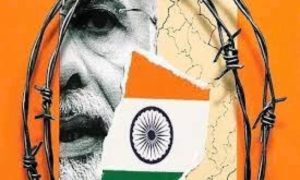 UN, United Nations, India, Rights, Government, Case, Iron, Health, English, Professor, Delhi University, Nagpur, Jail, Prison,