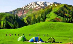 Black, Hawk, Black Hawk, Tourist, Zone, Kaghan Valley, Kaghan Valley, international, KP,