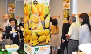 Pakistan