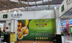 Mango, Pakistan, Expo