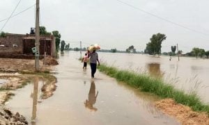 Punjab