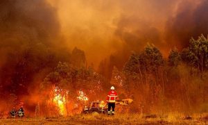 Wildfires