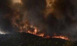 Wildfires
