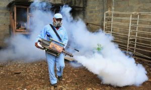 Health, Dengue, Outbreak, Rawalpindi, September, dengue larvae