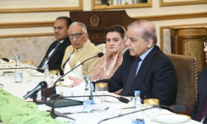 Bureaucracy, Pakistan, Prime Minister, Shehbaz Sharif,