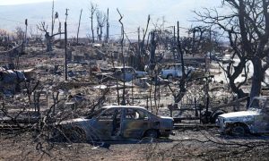 Death, Toll, Hawaii, Reaches, Continued, search, Victims, Maui, U.S