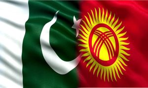 Kyrgyz, Company. Pakistan, investment, employment, opportunities, food, market, economies, business