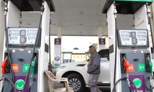 Saudi Arabia, Energy, G20, China, Subsidies, IMF, International Monetary Fund, Fossil Fuels, United States, Russia