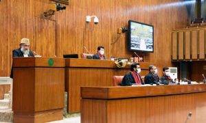 Pakistan, Upper, House, Senate, Declares, August 5, Black Day, UN, Indian, Occupied Kashmir, IIOJK, UNSC
