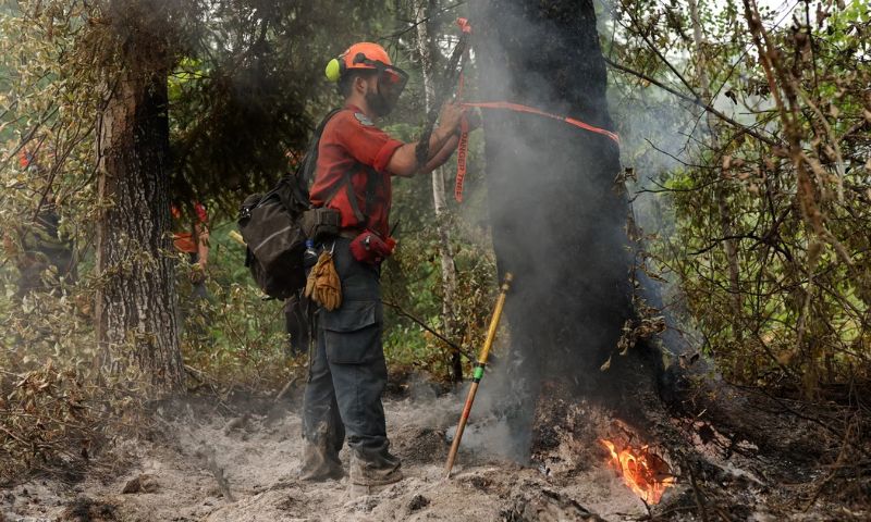 Canada, Wildfires, Northwest, Hay River, Town, Highway, Temperatures, Greece, Global Warming
