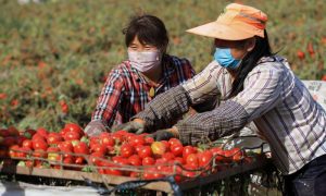 China, Food Trade, BRI, Belt and Road Initiatives, Belt and Road