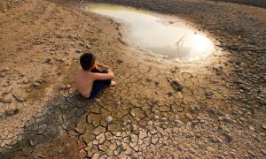 Climate